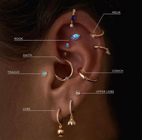 surface tragus|tragus piercing location.